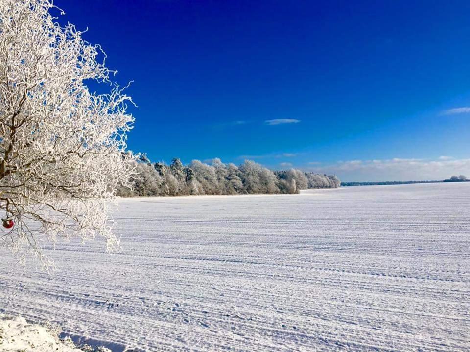 Ferienhaus Seensucht Göhren-Lebbin Exteriör bild